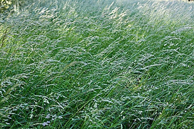 男人和女人差差差软件：竞速新作颠覆传统，性别差异化驾驶引爆玩家热议