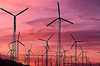 粉色视频苏州晶体：赛博竞速新作引爆全网，未来都市暗藏监控阴谋-3