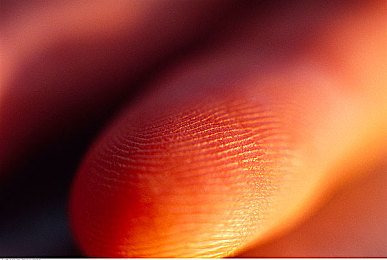 福建导航app网站入口下载安装：极速狂飙新玩法，动态导航赛道决胜福建真实地貌