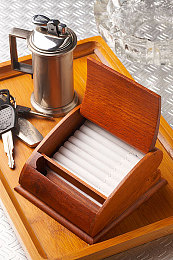 亚精一区二区：《极速纪元》双子赛道深度对决，技术流与速度派的终极试炼