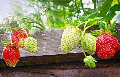 高中生被调教：《极速学园》今日上线，硬核调校系统引领模拟竞速新潮流-4