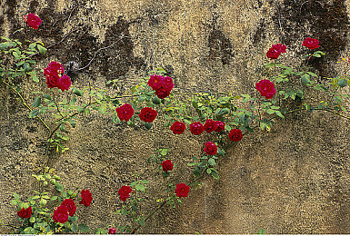 亚洲区一区二区三区：赛车游戏分区战略揭秘，新手到高手的进阶之路全解析-4