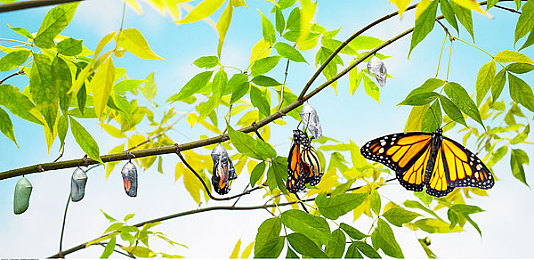 不良正能量：释放街头反叛，驾驭轰鸣盛典的竞速新纪元-3