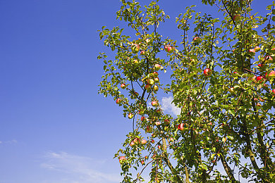 晚上网站你懂得：夜幕下的极速艺术，地平线永不眠的引擎交响诗