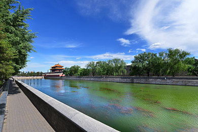 男女生搓搓：双人共驭，默契竞速，方向盘与换挡杆的协奏之旅