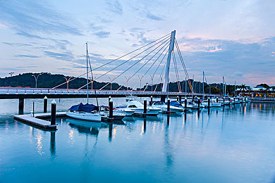 直播揉胸：模拟驾驶新作引爆直播圈，体感挑战刷新多任务操作极限-3