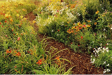 狼人踪合干网：疾驰暗影中的赛道谜局，极速心战与隐匿追猎-3