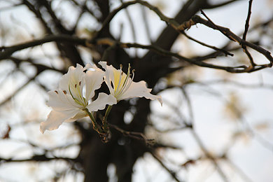 黄网站进入：霓虹线暗网追缉，体验数据飙车与黑客解谜的赛博狂飙-3