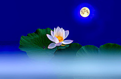 国产成人Av电影：霓虹赛道驾驭真实，硬核竞速重塑国产巅峰体验-4