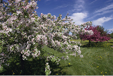 男人和女人上床软件:虚拟邂逅,双人驾驶舱中的极速默契之旅-3