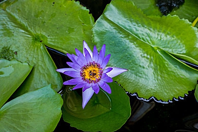 撕开奶罩揉吮奶头玩大胸:机械解构与性能重塑,数字车库中的空气动力学诗篇-4