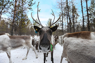 中国Av片:国产赛车巨制疾风亚洲风云发布,真实还原中国赛道与高性能车系-1