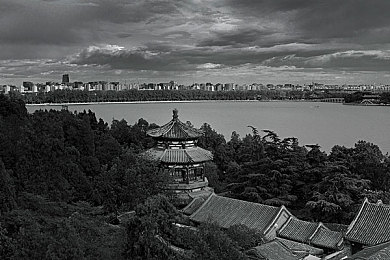 vivo黄色app：极速幻影霓虹轨迹，视觉与竞速的沉浸之旅-3