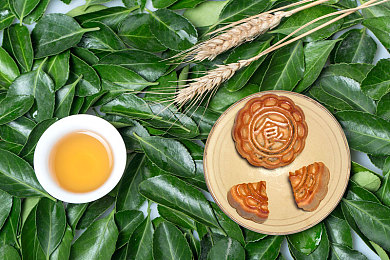 好色直插：墨西哥画卷，疾驰的个性调色盘-4