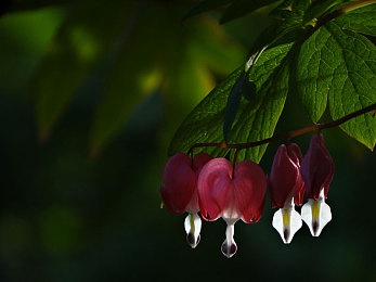 成人综合AV：硬核竞速新作今日上线，真实物理引擎重塑赛道狂飙体验-4