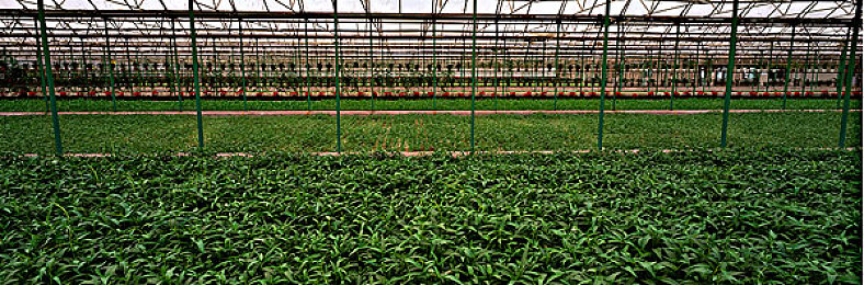 404黄台软件禁用APP入口大全：极限代码都市狂飙，数字迷宫中的赛车解谜之旅-4