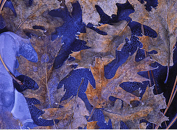 二区亚洲：霓虹山道，东方竞速美学的数字巡礼-2