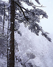 不良正能量网站：轰鸣盛典，街头狂想与数字文化的竞速融合