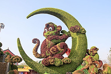 男人操女人APP:极速狂飙,赛道女王颠覆性别对决,竞速平等新纪元-4