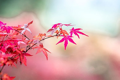 www国产乱伦：风驰电掣间，烙刻华夏道路的独有印记-3