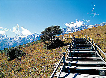 麻豆天美：虚拟偶像疾速狂飙，沉浸竞逐未来赛道-2