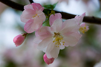 十款app禁止app安装软件下载入口:虚拟改装新规上线,公平竞速体验全面升级-3