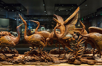 黄色下载303：极速解码，数字赛道上的协议竞逐之旅-3