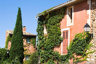 真人床上拔萝卜:颠覆传统竞速,弹性赛道驾驶收集新体验-2