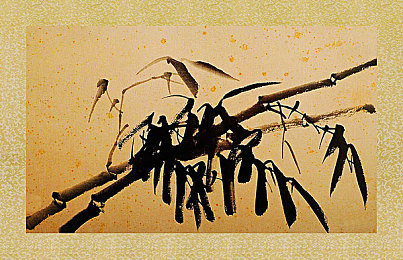 干逼APP：极速调校，动态赛道，街头车神的终极车库-2