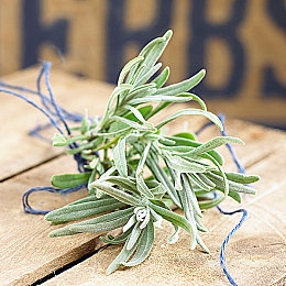 红桃38.49隐藏：地平线5暴雨夜神秘挑战，解锁复古肌肉车收藏攻略-5