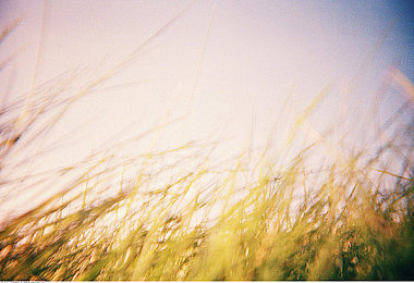 外国人打扑克又叫又疼：创新融合策略竞速，扑克牌赛道全押狂飙今日正式上线