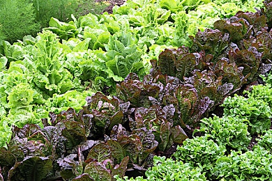 男生和女生一起差差差app大全：双心同步，极速共舞，差异化协作驾驶新纪元-2