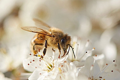 男艹女APP：极速逆转，镜像都市中的性别竞速博弈-3