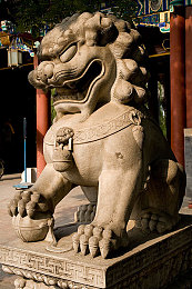 俄罗斯Zoom人与ZoomZoom的差别：极速传说双雄争锋，硬核改装与精密调校的赛道对决-2