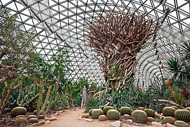 可以看搞基的软件:极速搭档公路传奇,双人竞速共铸兄弟羁绊-4