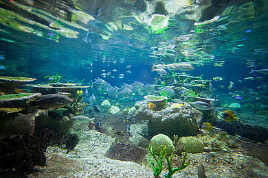 下载黄色软件禁18:极限竞速地平线5全新赛季开启,车辆调校与多人对战进阶攻略详解-2