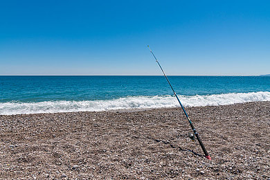 黄色qpp：极速狂飙柠檬风暴，驾驭未来赛车挑战极限竞速