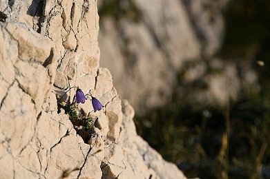 303免费oppo版破解大全免费下载：狂野飙车9正版攻略，OPPO设备极致竞速体验与进阶技巧-2