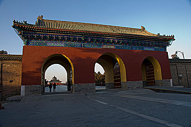 小處女末发育嫩苞电影：《极速萌芽》今日上线，真实物理引擎与成长系统打造纯粹竞速之旅