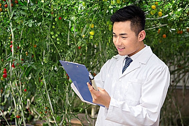 成长Av:从零件到传奇,墨西哥赛道上的养成史诗-2