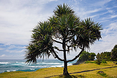 人人模人人干:玩家共创时代,汽车游戏变身无限画布与赛道-5