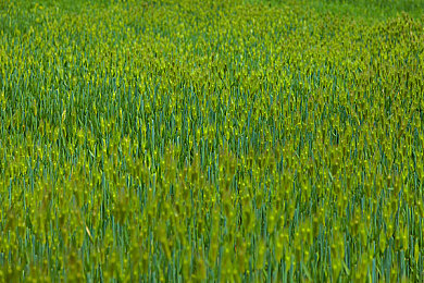 xax uzun, haya：开放世界竞速新作今日上线，驾驶伙伴共赴漫长旅途-4