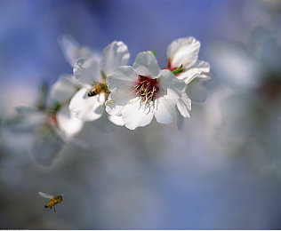 黄色软件3.0.3opop破解版：非官方修改版解锁全内容，赛车游戏陷破解风波引热议-4