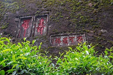 女同和女同性按摩：双女主竞速游戏《极速同频》本月登陆PS5与PC，以情感羁绊驱动极速狂飙-5