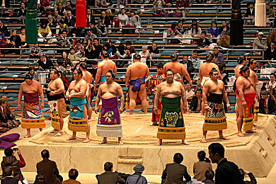 机机对机机免费下载版2025：钢铁战车激斗，免费改装决战废土世界-3