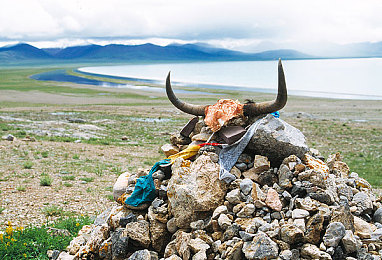 黄色软件下载3.0.3免费OPPO：OPPO专属超跑登场，极速都市新版本驾驶体验全面升级-2