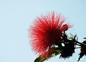 国产精品成人AV电影:极速狂飙赛道之王,硬核赛车体验革新之作-3