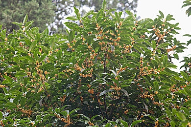 一小孩和老师打萝卜不盖被子：昼夜协作新哲学，露天作物品质飙升的田园之旅-4