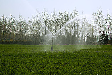 综合一区综合二区：《极速地平线：战区》今日上线，开放世界赛车生存战拉开序幕-2