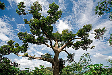 黄色软件app下载vivo：vivo平台竞速游戏全攻略，最新热门飙车大作深度评测-2